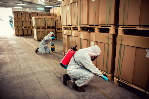 Trusted Guilford Center, CT Pest Control Experts