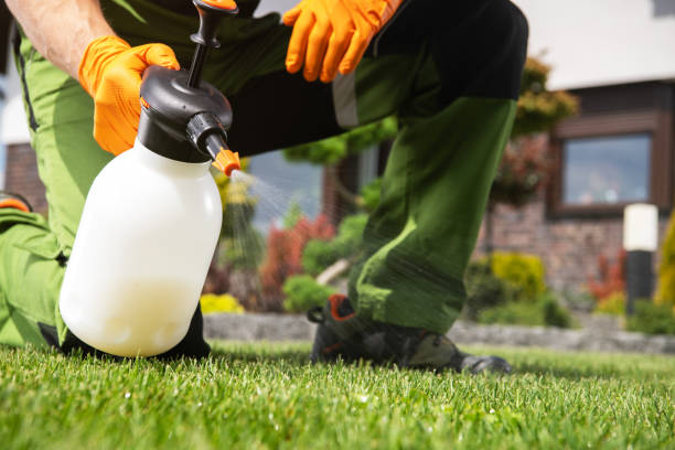 Best Best Pest Control Companies  in Guilford Center, CT