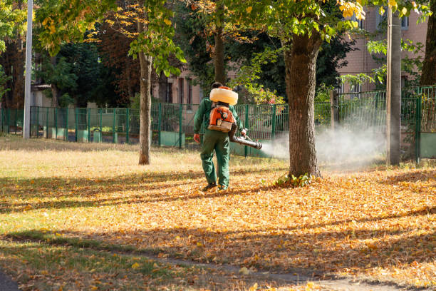 Pest Prevention Services in Guilford Center, CT