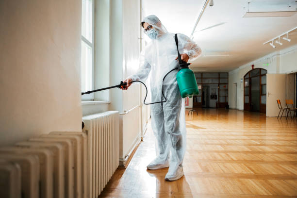 Best Local Pest Control Services  in Guilford Center, CT